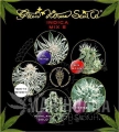 GREEN HOUSE SEEDS - Indica Mix E