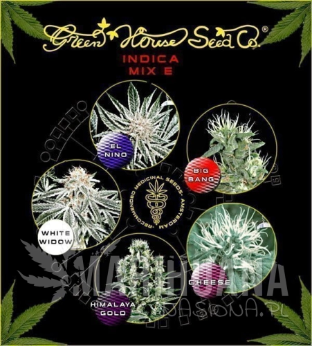 GREEN HOUSE SEEDS - Indica Mix E