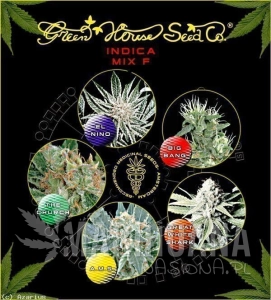 Indica Mix F - GREEN HOUSE SEEDS
