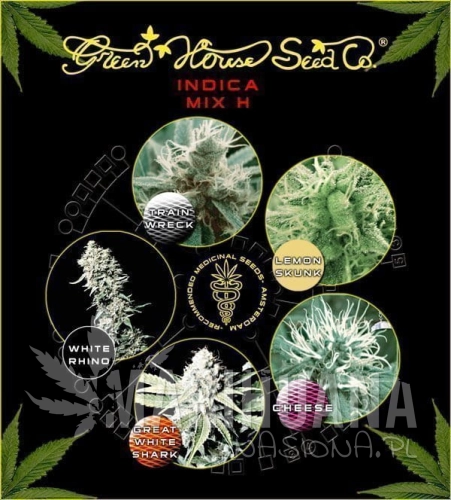 GREEN HOUSE SEEDS - Indica Mix H