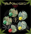 GREEN HOUSE SEEDS - Rasta Mix