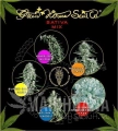 GREEN HOUSE SEEDS - Sativa Mix