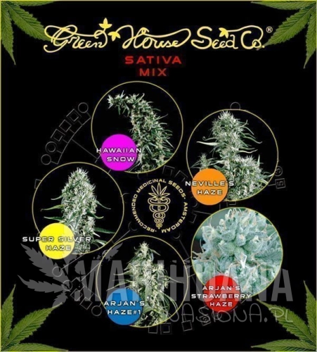 GREEN HOUSE SEEDS - Sativa Mix