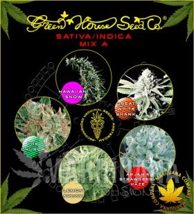 GREEN HOUSE SEEDS - Sativa/Indica Mix A