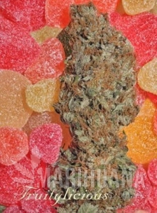 Fruitylicious - MANDALA SEEDS