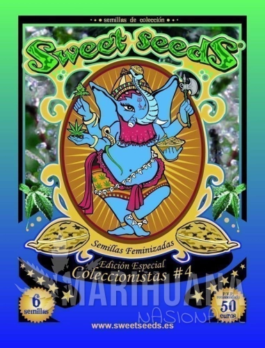 SWEET SEEDS - Collector #4
