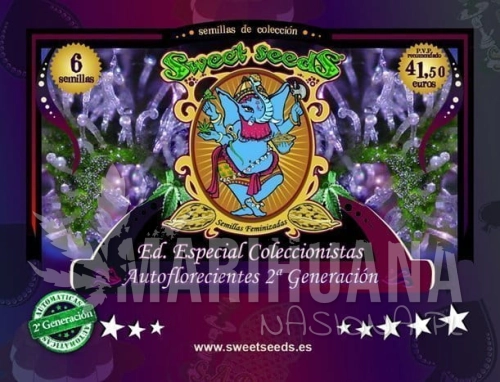 SWEET SEEDS - Autoflowering Collector 2 + Generation Edition