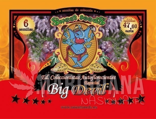 SWEET SEEDS - Autoflowering Collector Big Devil Edition