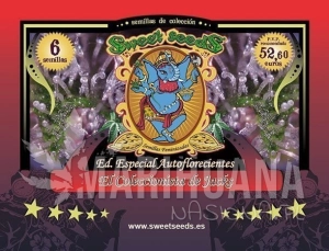 Autoflowering Collector Jacks Edition - SWEET SEEDS