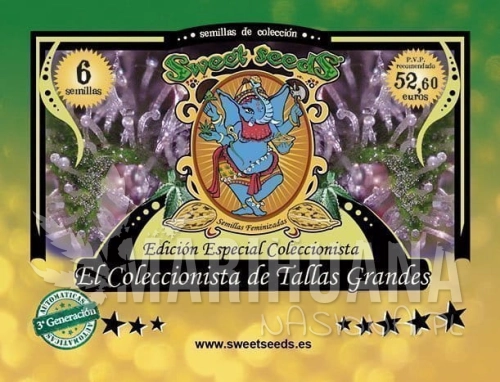 SWEET SEEDS - Autoflowering Collector Tallas Grandes Edition