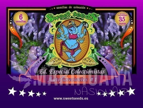 SWEET SEEDS - Autoflowering Collector