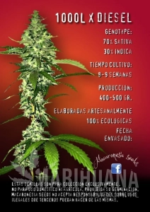 100L X Diesel - MACARONESIA SEEDS