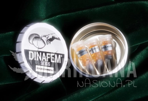 DINAFEM - Collectors Pack Nº 8
