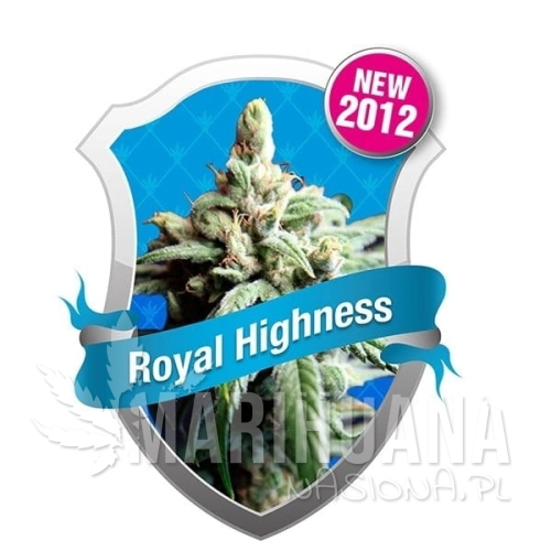 ROYAL QUEEN SEEDS - Royal Highness CBD