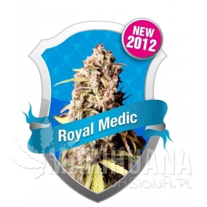 Royal Medic CBD - ROYAL QUEEN SEEDS