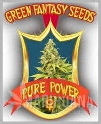 Pure Power - GREEN FANTASY SEEDS