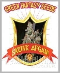 Skunk Afghani - GREEN FANTASY SEEDS