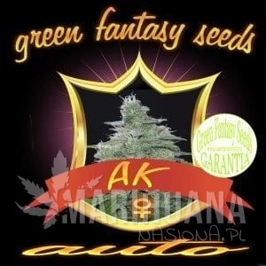 Auto AK - GREEN FANTASY SEEDS