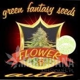 Auto Flower - GREEN FANTASY SEEDS