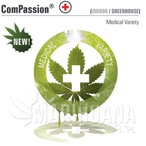 CBD ComPassion - DUTCH PASSION