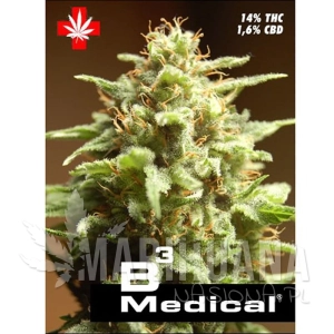 B3 Medical - PURE SEEDS