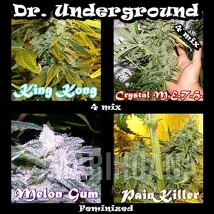 Surprise Killer Mix - DR UNDERGROUND