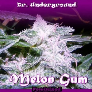 Melon Gum - DR UNDERGROUND