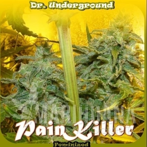 Painkiller - DR UNDERGROUND