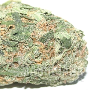 Hawaiian Punch - SAGARMATHA