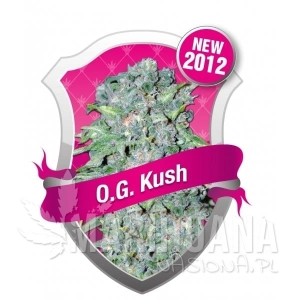 O.G. Kush - ROYAL QUEEN SEEDS