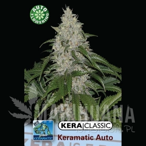 Kera Matic - KERA SEEDS