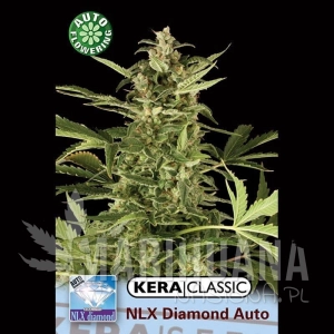 N.L.X. Diamond Auto - KERA SEEDS