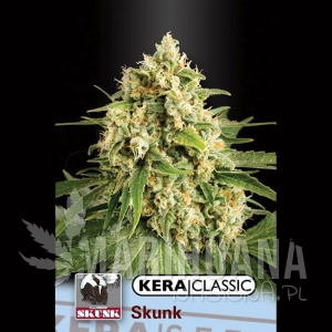 Skunk - KERA SEEDS