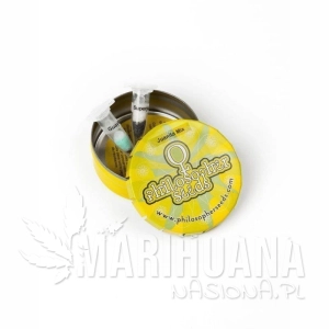 Juanita Mix - PHILOSOPHER SEEDS
