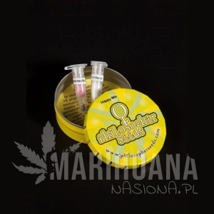 HappyMix - PHILOSOPHER SEEDS