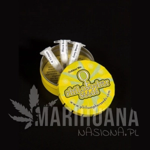 Outdoor Mix - PHILOSOPHER SEEDS