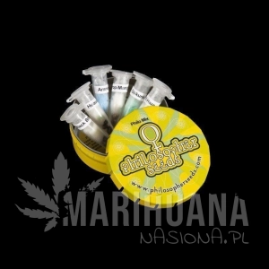 Philo Mix - PHILOSOPHER SEEDS