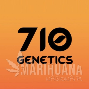 White Lady OG - 710 GENETICS