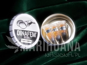 Collectors Pack Nº 23 - DINAFEM