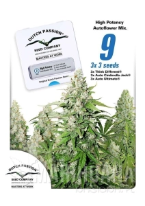 High Potency Auto Mix - DUTCH PASSION