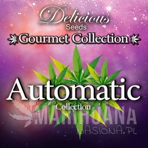 Gourmet Collection Automatic 1 - DELICOUS SEEDS