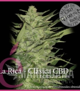 La Rica Clásica CBD - ELITE SEEDS