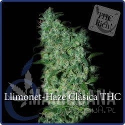 Llimonet Haze Clásica THC - ELITE SEEDS