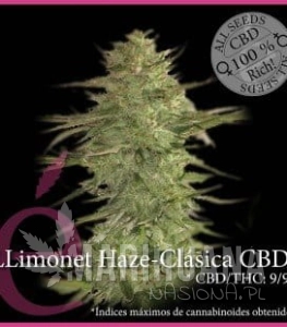 Llimonet Haze Clásica CBD - ELITE SEEDS