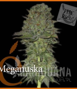 Meganuska - ELITE SEEDS