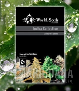 Indica Collection - WORLD OF SEEDS