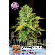 VENICE BEACH AFGHAN - KERA SEEDS