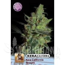 California Nugget - KERA SEEDS