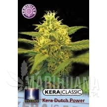 Dutch Power 2.0 - KERA SEEDS