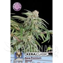 Premium Diesel - KERA SEEDS